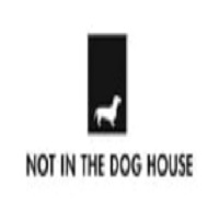 Not InThe Dog House UK screenshot