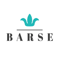 Barse Jewelry screenshot