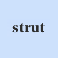 Strut Health screenshot