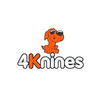4Knines screenshot